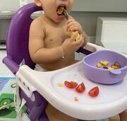 WhatsApp Image 2026-04-01 at 16.49.07 (1).jpeg